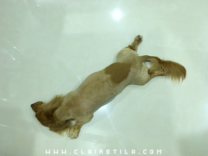 20251024-nwnjh 20251024-nwnjh