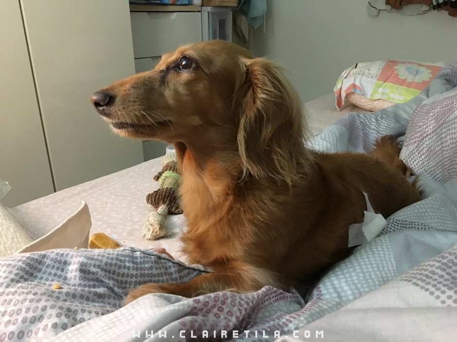 20251024-o9hto 20251024-o9hto