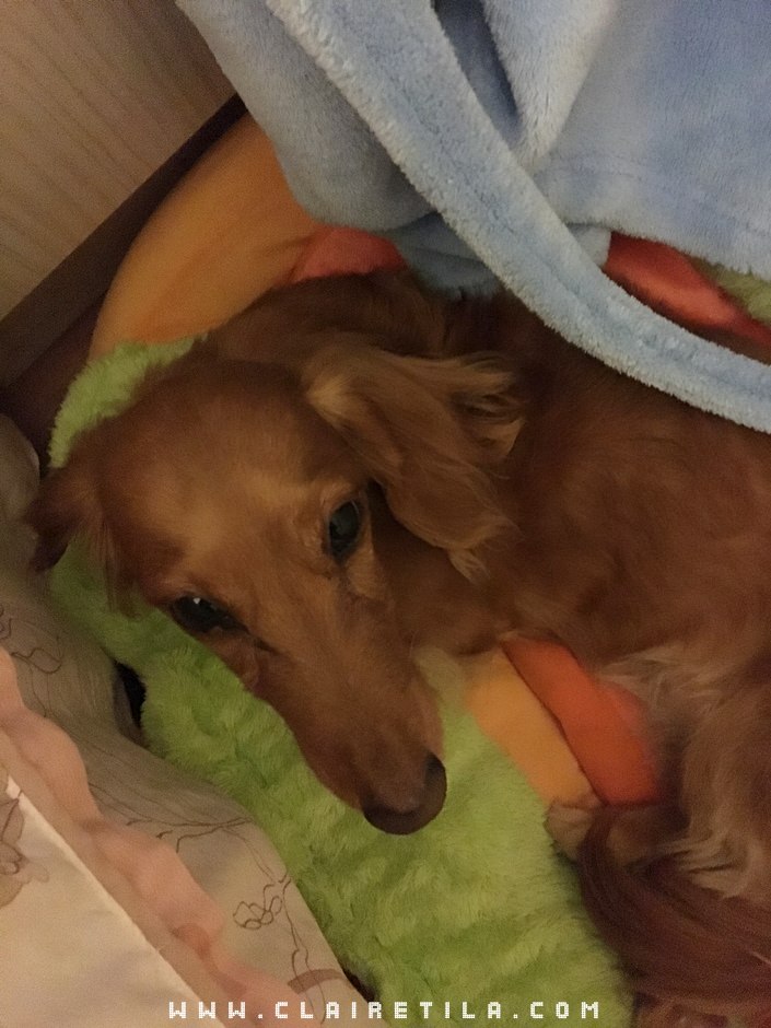 20251024-oqd3t 20251024-oqd3t