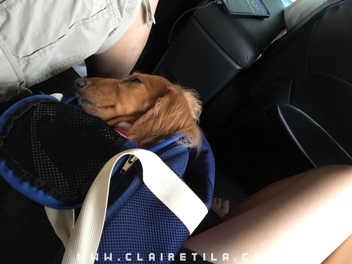 20251024-ou3ko 20251024-ou3ko