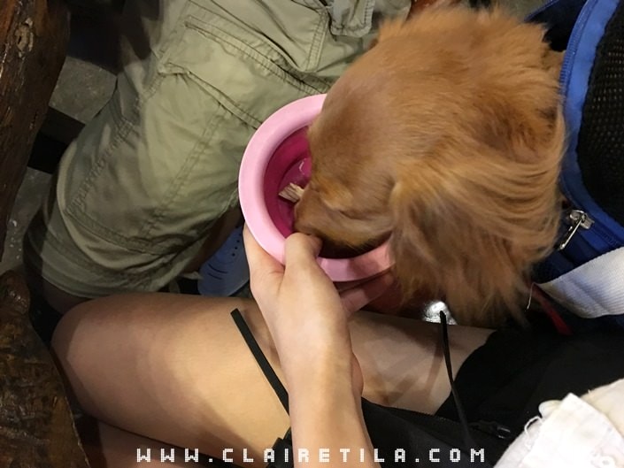 20251024-p311h 20251024-p311h