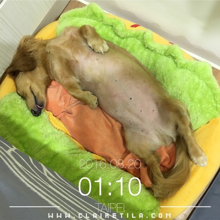 20251024-p3ilk 20251024-p3ilk