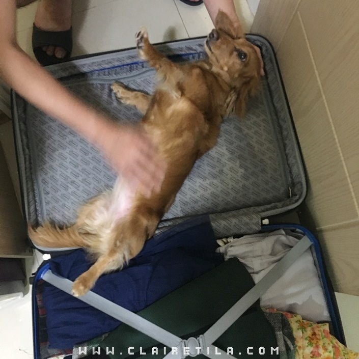 20251024-pqmvw 20251024-pqmvw