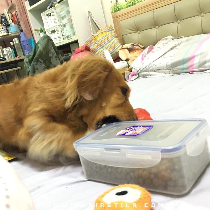 20251024-py192 20251024-py192