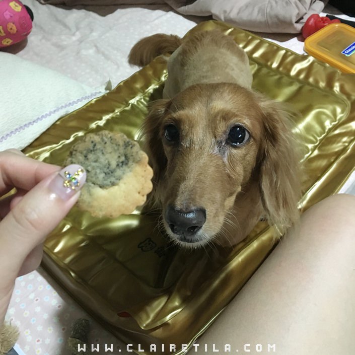 20251024-qb6gs 20251024-qb6gs