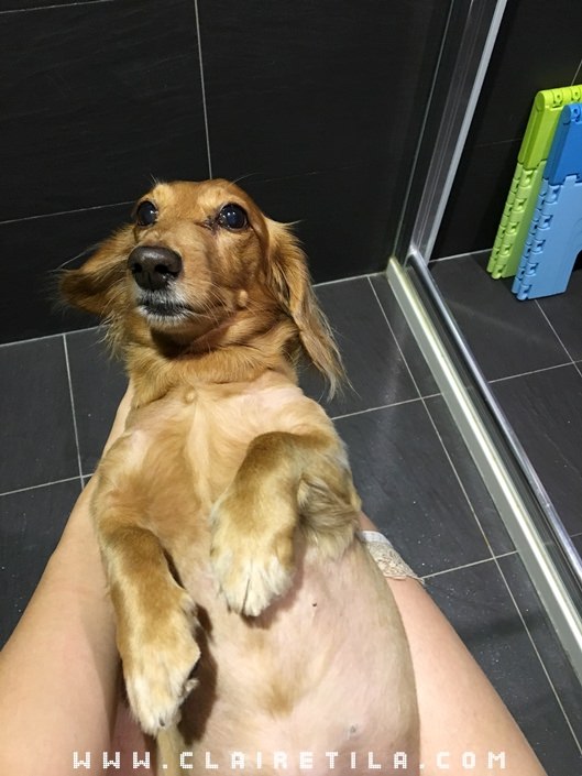 20251024-qhgvf 20251024-qhgvf