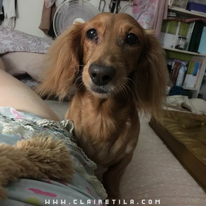 20251024-qjjc2 20251024-qjjc2