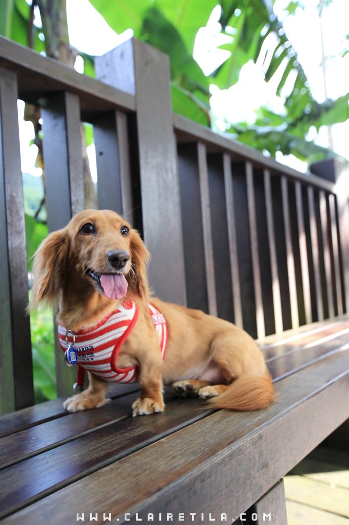 20251024-qusde 20251024-qusde