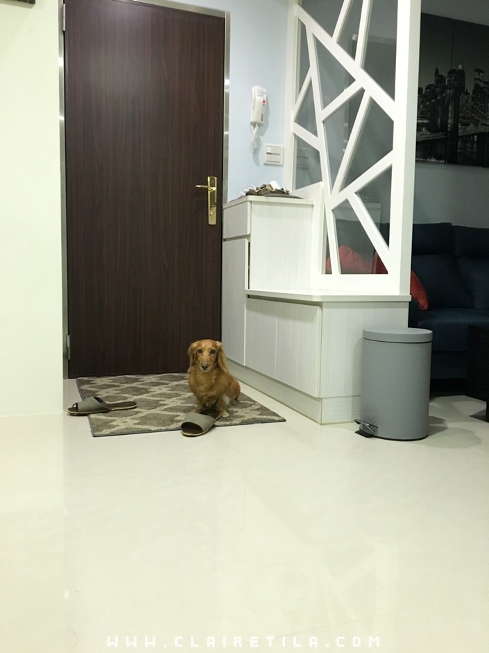 20251024-qvl0p 20251024-qvl0p