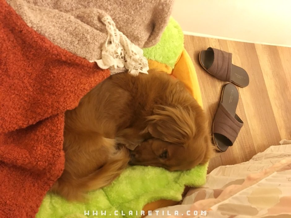 20251024-r0s8c 20251024-r0s8c