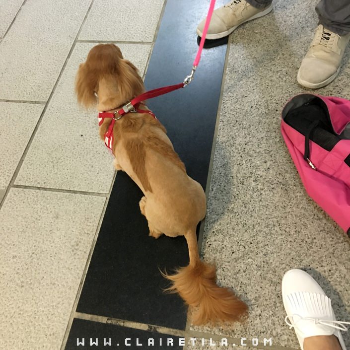 20251024-rd6au 20251024-rd6au