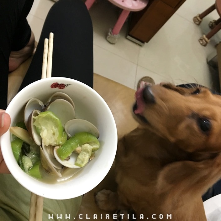 20251024-rdbbu 20251024-rdbbu