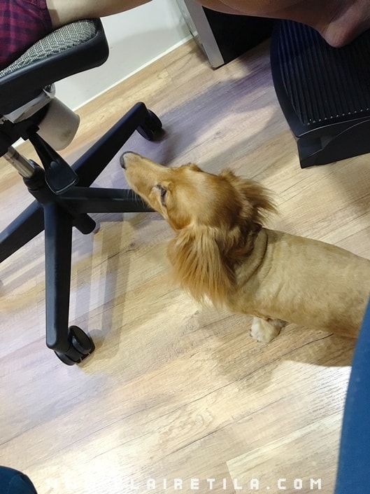 20251024-reldq 20251024-reldq