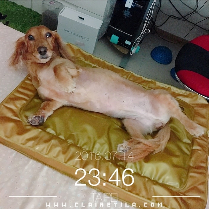 20251024-rn51a 20251024-rn51a