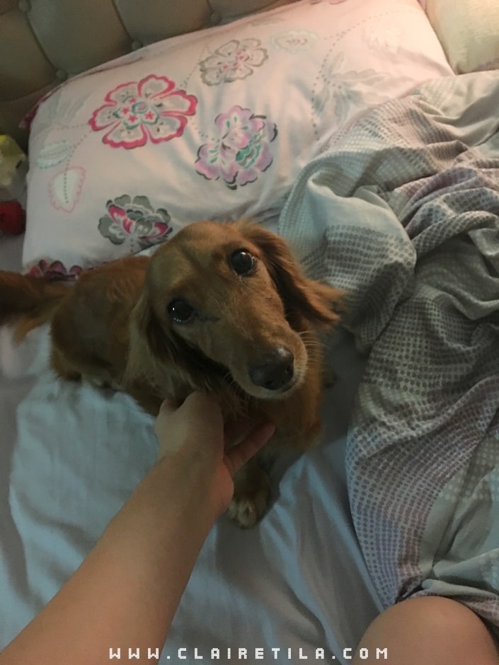 20251024-rxc5g 20251024-rxc5g