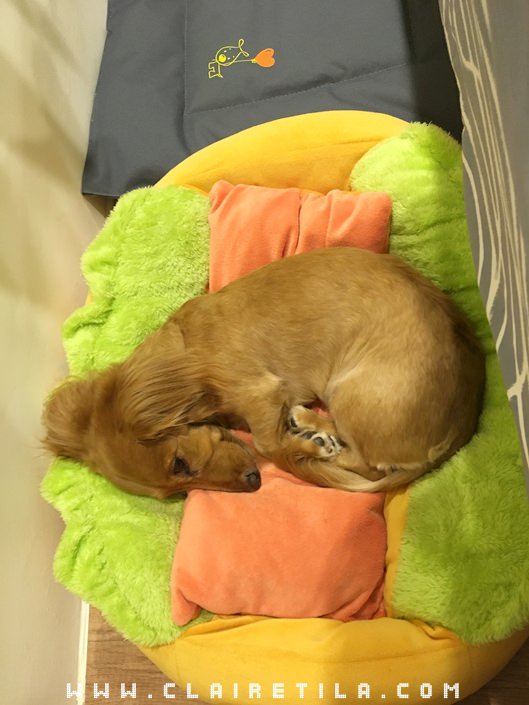 20251024-sekhu 20251024-sekhu