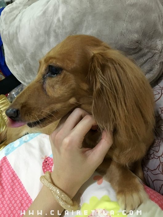 20251024-si744 20251024-si744