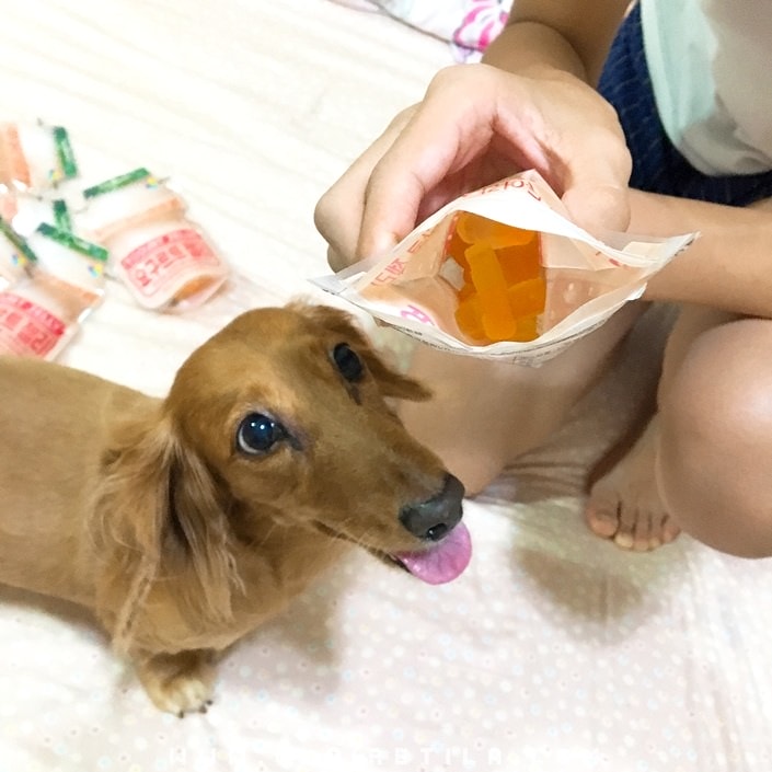 20251024-t6s5p 20251024-t6s5p