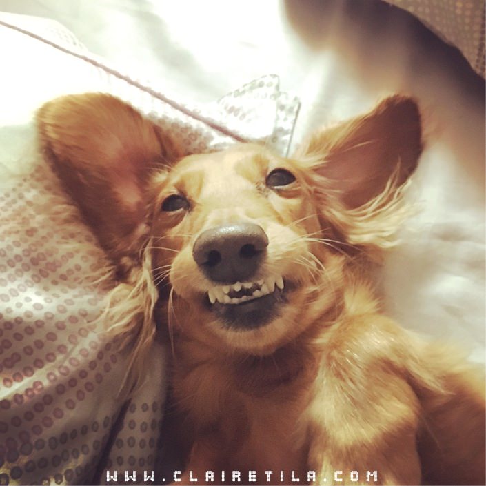 20251024-t7zwo 20251024-t7zwo