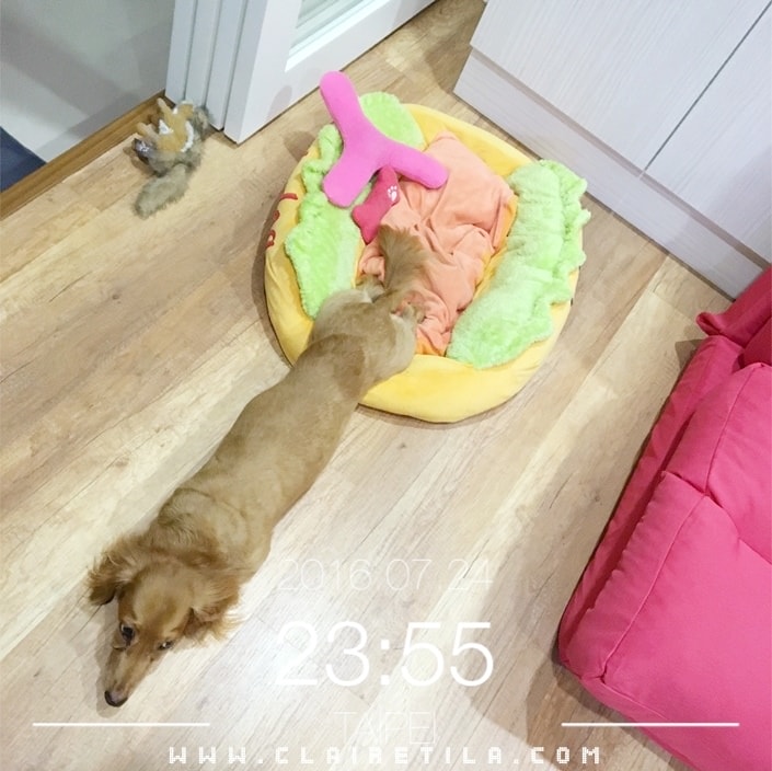 20251024-t8gq9 20251024-t8gq9