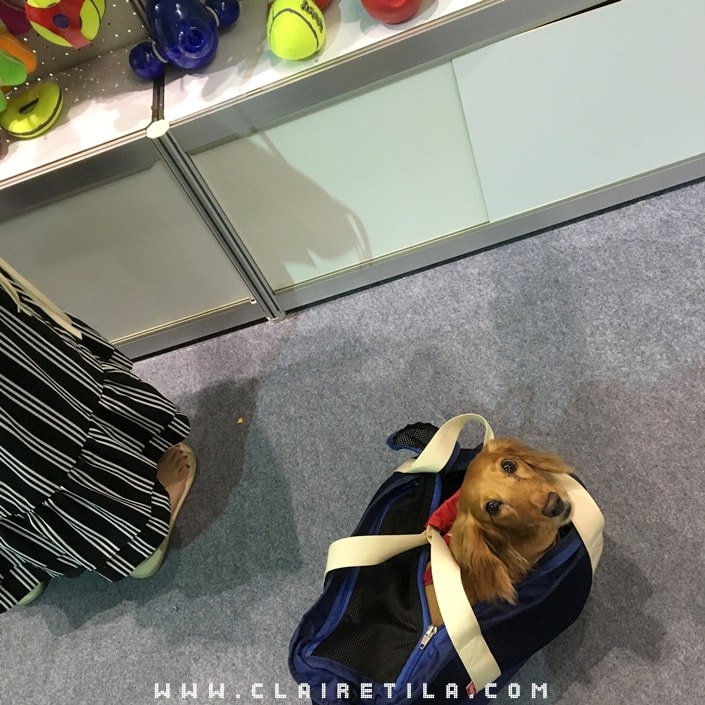 20251024-tf9rl 20251024-tf9rl