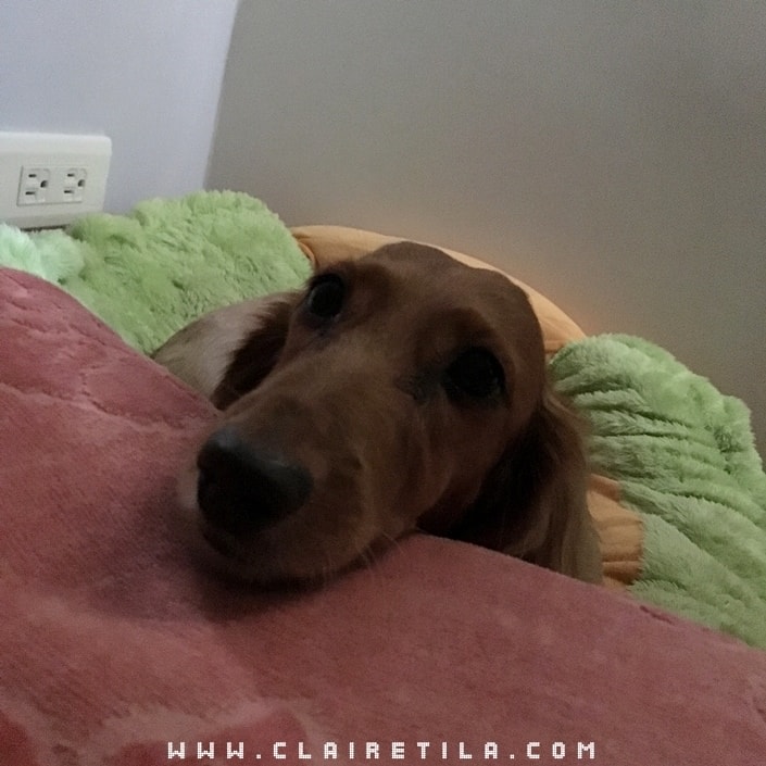 20251024-tfhmn 20251024-tfhmn