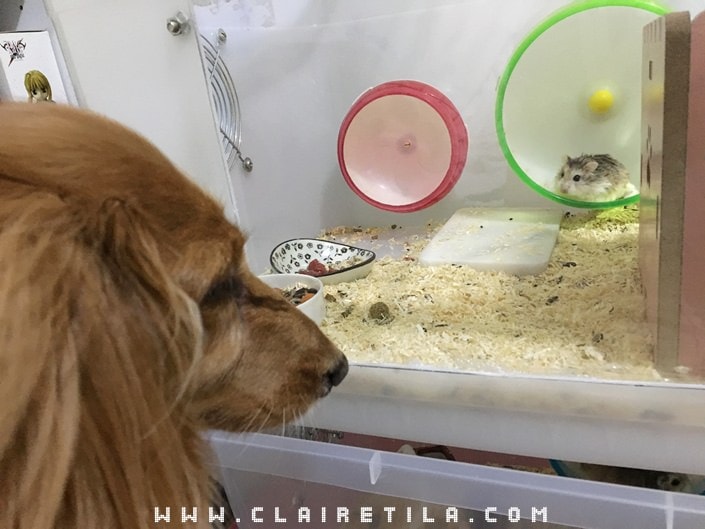 20251024-tm53x 20251024-tm53x