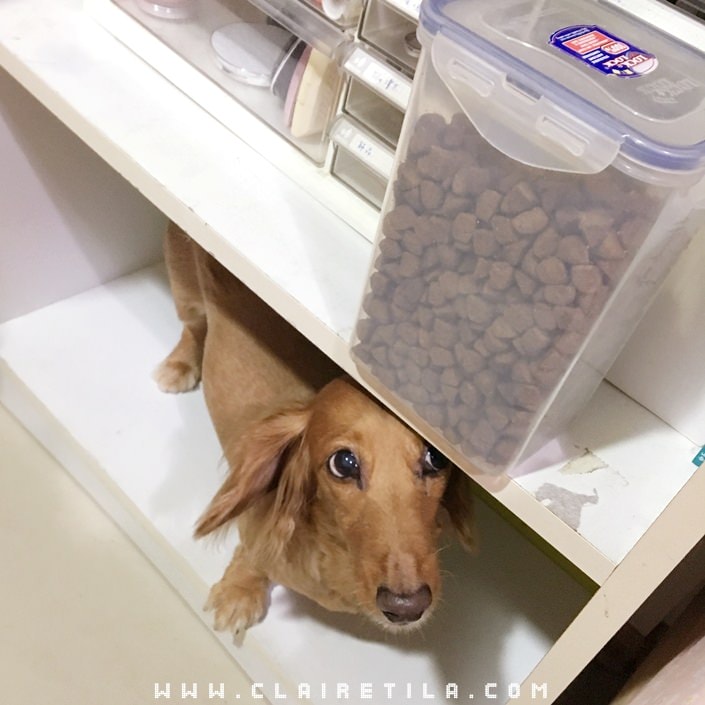 20251024-uhs6m 20251024-uhs6m