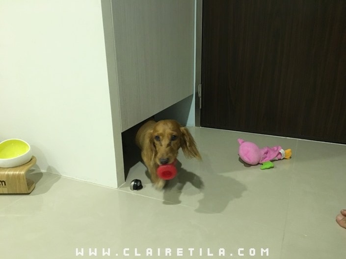 20251024-uo2il 20251024-uo2il