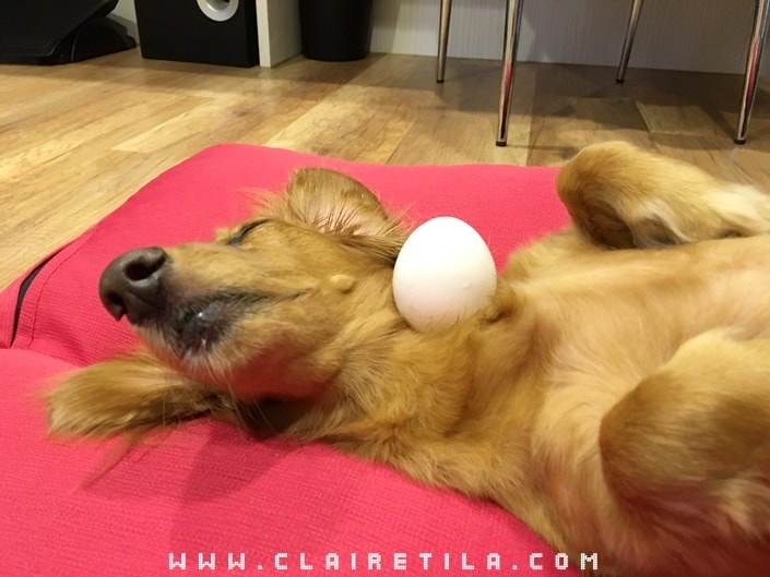 20251024-v3tvh 20251024-v3tvh