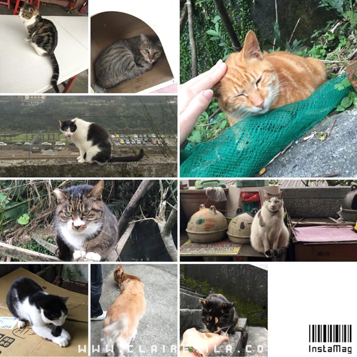 20251024-vy1o4 20251024-vy1o4