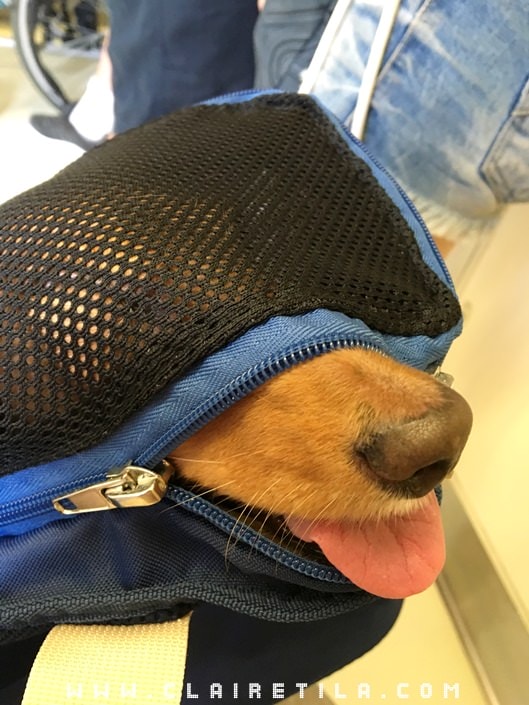 20251024-vyi8r 20251024-vyi8r