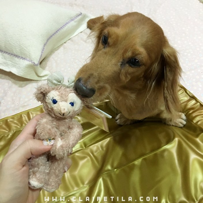 20251024-w36e2 20251024-w36e2