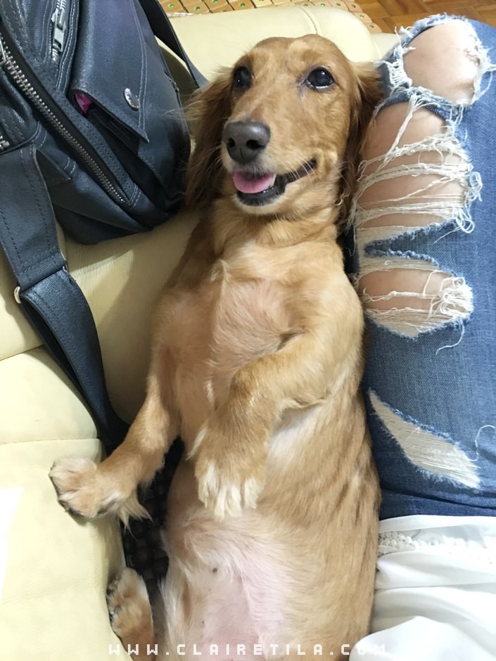 20251024-wbom0 20251024-wbom0