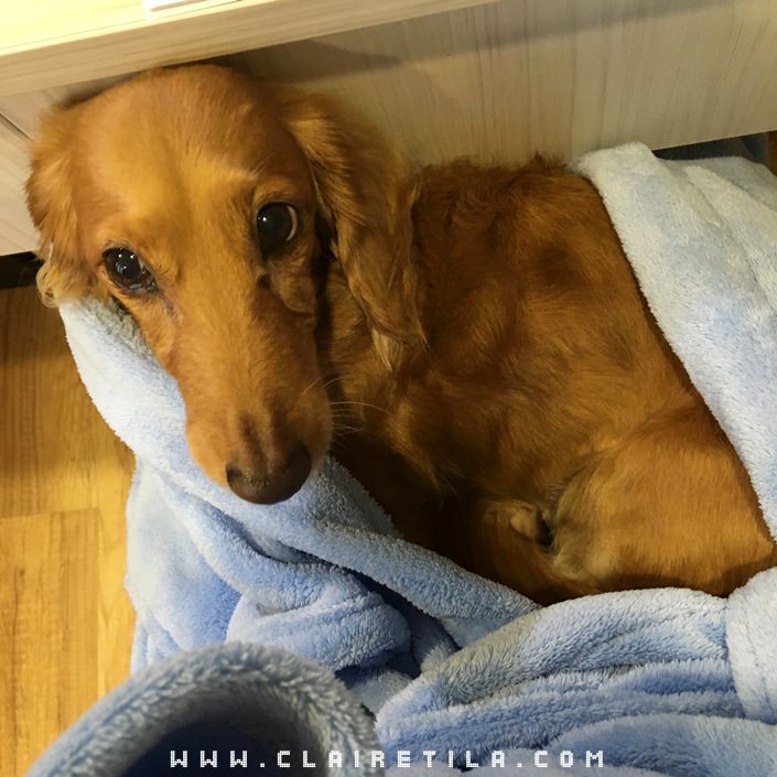 20251024-wjlzc 20251024-wjlzc