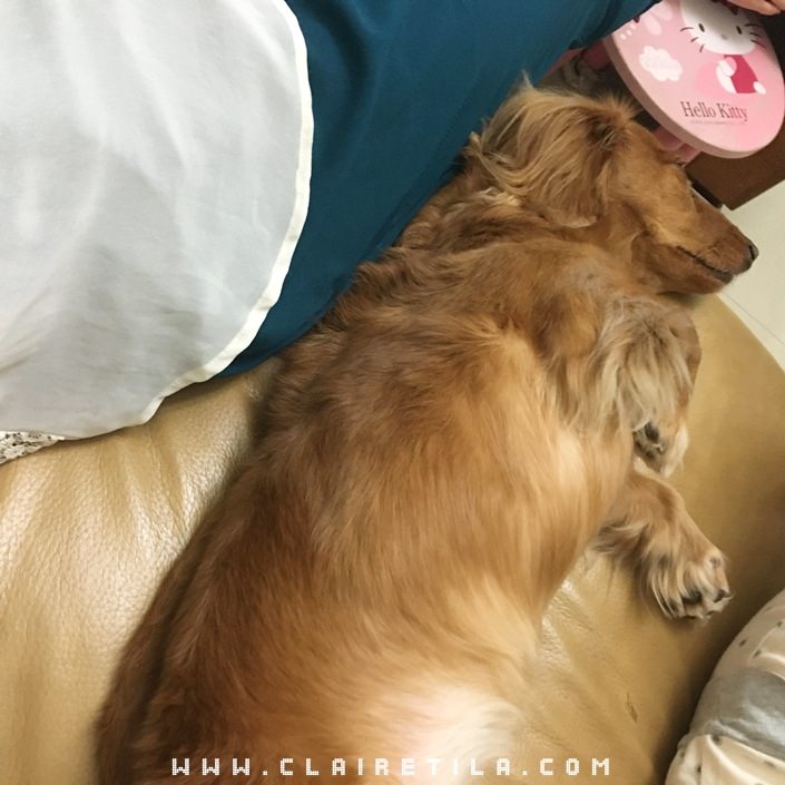 20251024-wkszq 20251024-wkszq