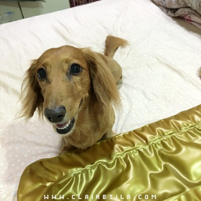 20251024-wyulm 20251024-wyulm