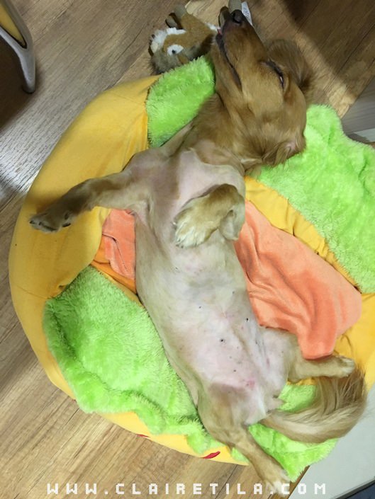 20251024-wzmtw 20251024-wzmtw