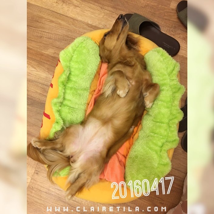 20251024-x03i4 20251024-x03i4