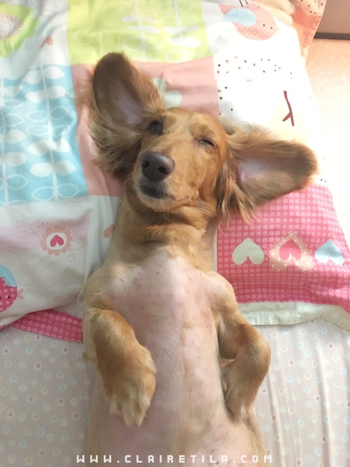 20251024-x1qhi 20251024-x1qhi