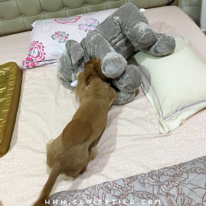 20251024-x7o2t 20251024-x7o2t