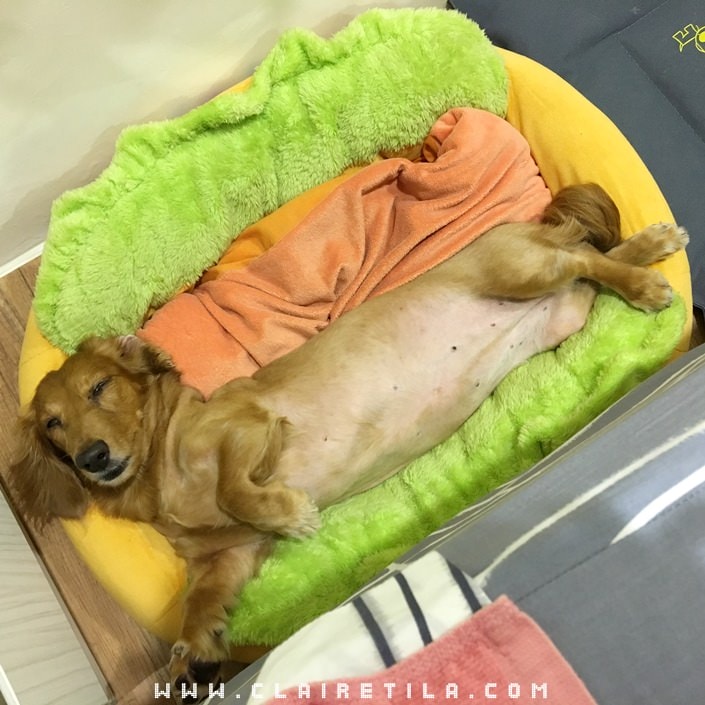 20251024-xoes5 20251024-xoes5