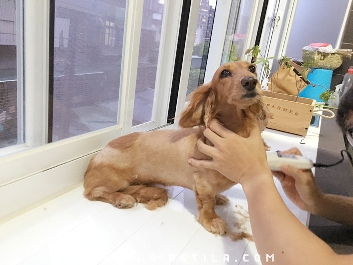 20251024-y1o4p 20251024-y1o4p