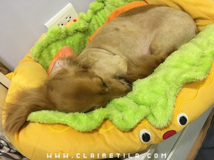 20251024-y4gf9 20251024-y4gf9