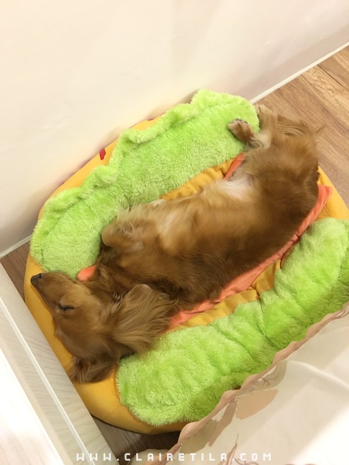 20251024-y5bs9 20251024-y5bs9