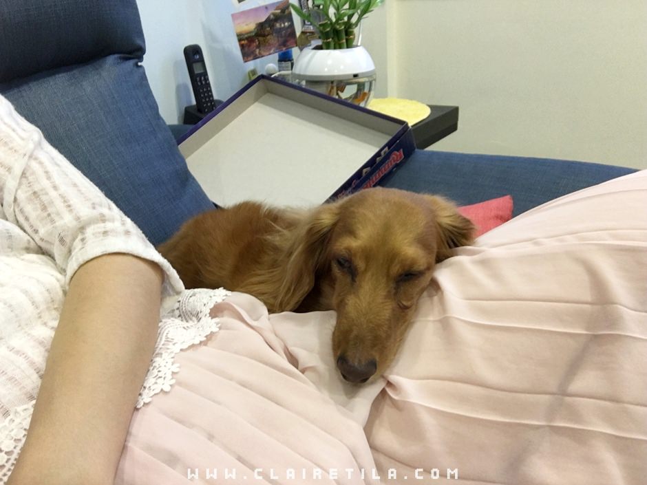 20251024-z0811 20251024-z0811