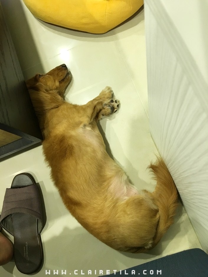 20251024-z2vi7 20251024-z2vi7