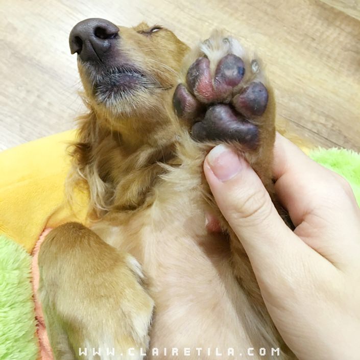 20251024-z5o58 20251024-z5o58