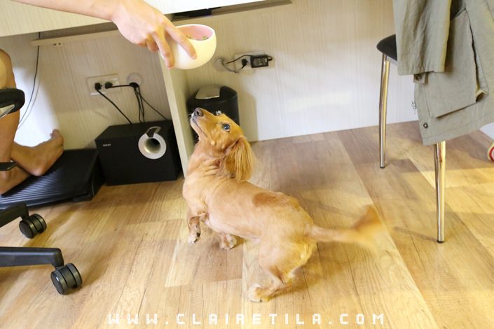 20251024-z673x 20251024-z673x