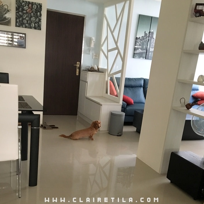 20251024-z68n6 20251024-z68n6